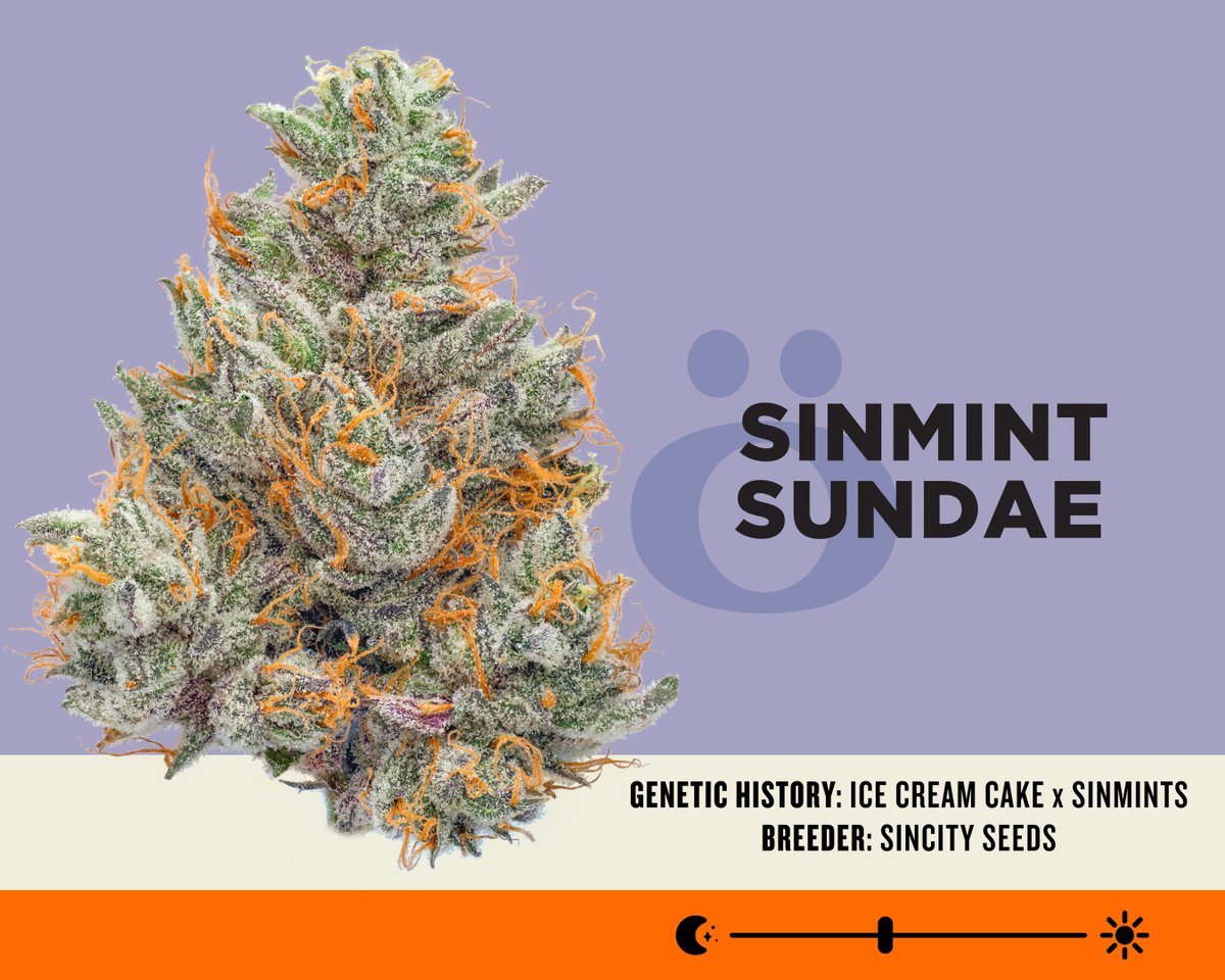 This week for flower,

SinMint Sundae and Night Wedding <a href="/SinCitySeeds/">SinCitySeeds</a> 🔥

See who's getting what around the state at iskord.com/drops

#HaveYouSKoRDLately