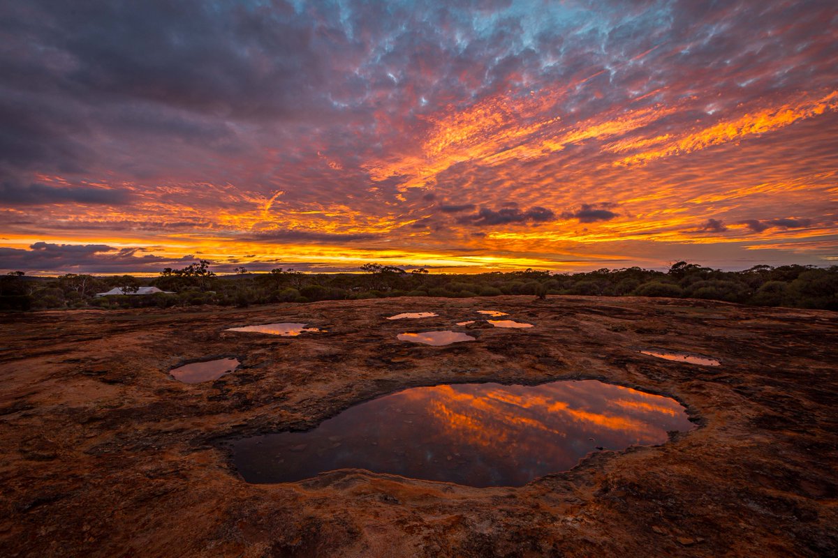 Australian Wildlife Conservancy tweet media