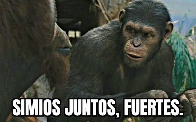 _hcastro's tweet photo. @Osivaldo5 @cuartodemillamx https://t.co/N6ECrN5PcG