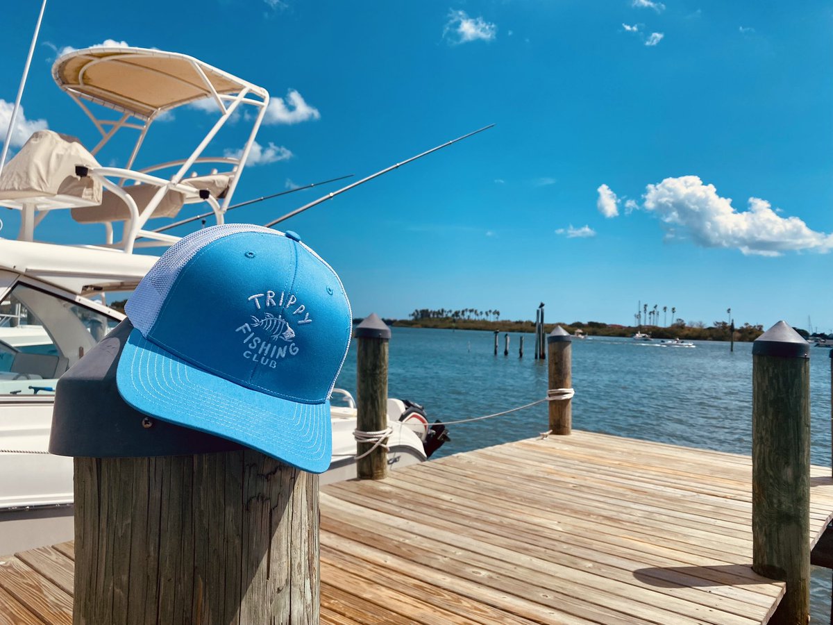 ClubTrippyFish's tweet photo. Life’s good. ✌️ https://t.co/vcPDTNeedU