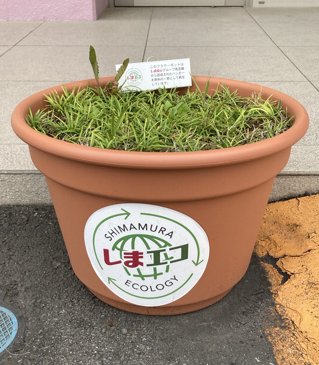 🌱【しまエコ活動報告】♻️
全国の #しまむらグループ 1600店舗では、
環境へ配慮した取り組み #しまエコ の一環として、
「しまエコフラワーポット」を設置しています。

各店舗で回収したハンガーの一部を原料として再利用しています。

▼環境への取組みはこちら
shimamura.gr.jp/sustainability…
