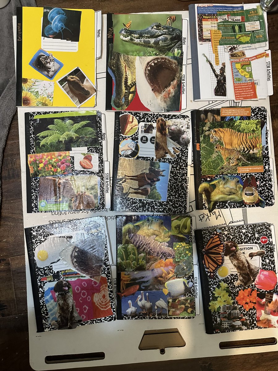 Mimi Dinh (@ms_dinhdinh) on Twitter photo So proud of my scientists-in-training 🧑🔬✨ Their collages are bursting with creativity! <a href="/MytraCunningham/">Dr. Mytra Cunningham</a> <a href="/ExplorersCol/">Collins Elementary</a> <a href="/AliefScience/">Alief Science</a> So proud of my scientists-in-training 🧑🔬✨ Their collages are bursting with creativity! <a href="/MytraCunningham/">Dr. Mytra Cunningham</a> <a href="/ExplorersCol/">Collins Elementary</a> <a href="/AliefScience/">Alief Science</a>