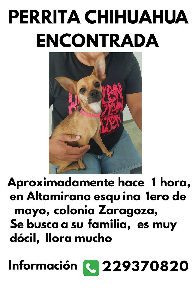 linamarin1's tweet image. Ayudale a regresar a casa
#Veracruz #Lomitos