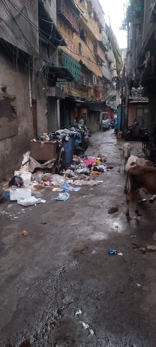 AsifFilms's tweet image. This is no clean city. 11 Kasai basti 1 st lane narkeldanga Kolkata 700011. sabka Sath sabka Vikas #pmoindia #Banerjee #Zeenews #India #Kolkatacorporation #DelhiNews