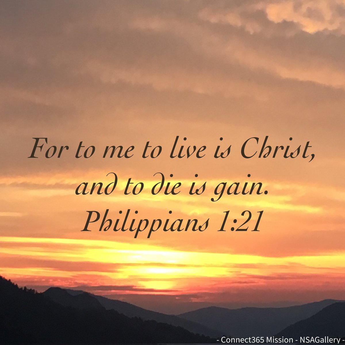 Michael P Ascani (@savlifeonline) on Twitter photo 