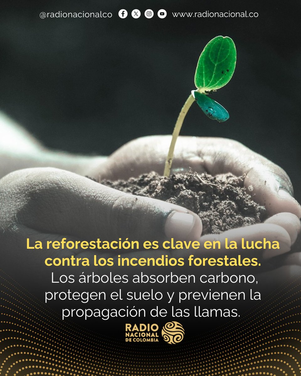 RadNalCo's tweet photo. https://t.co/up03S2AlHR