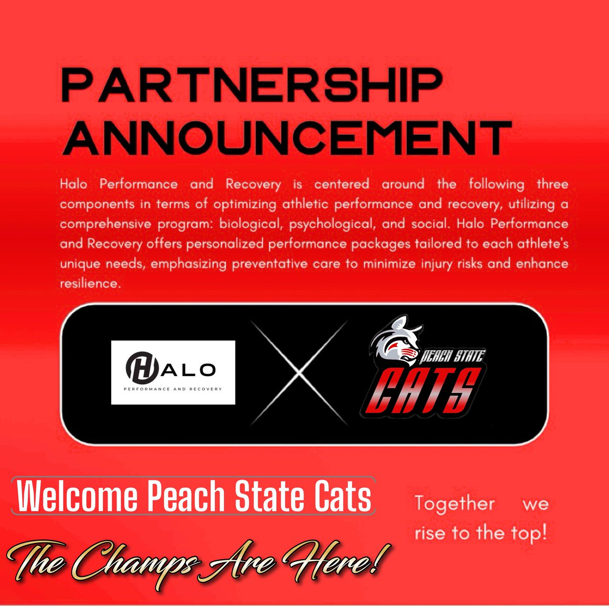 Halo Performance and Recovery tweet media