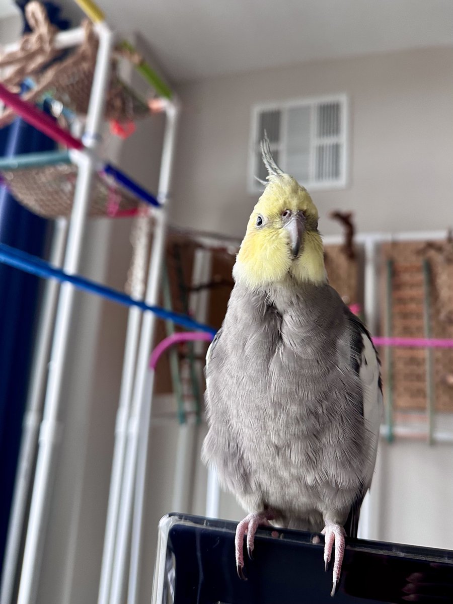 Vinny from the morning🌧️