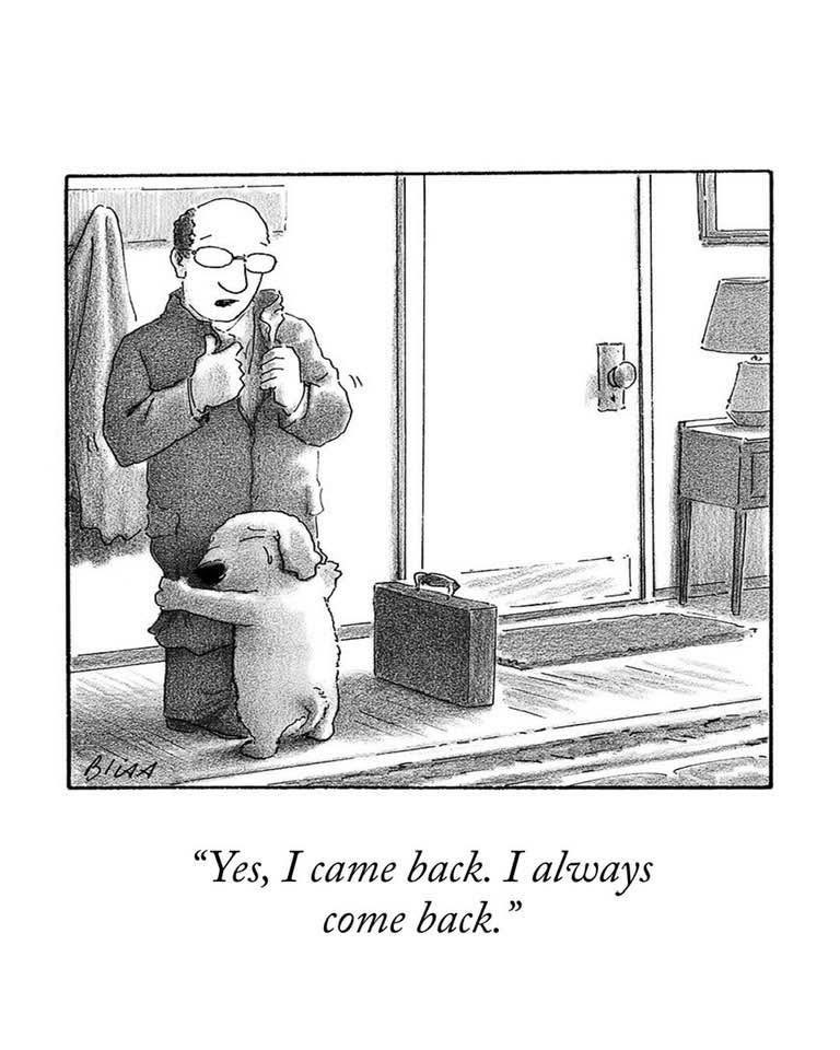 Rob Friedman (@rlfriedman100) on Twitter photo 