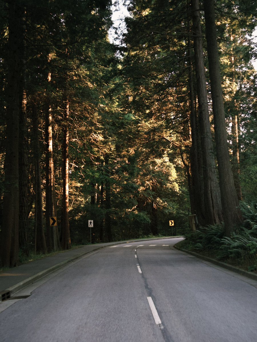 walk walk walk walk walk