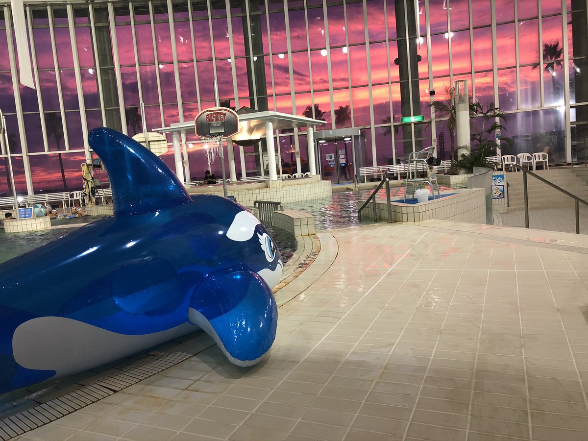 シャーチン( ¯꒳¯ )ᐝ tweet media