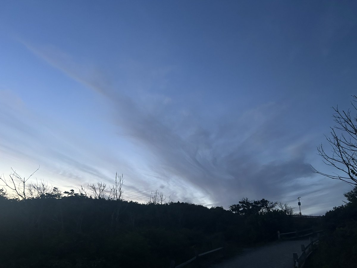 wxcamryn's tweet image. Nauset spam. Not pictured is the one seal I saw bobbing in the waves 🌊 #mawx #capecod