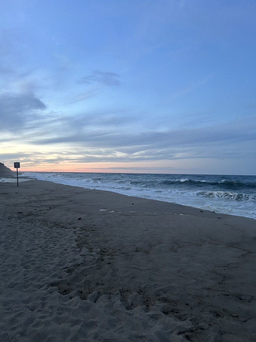 wxcamryn's tweet image. Nauset spam. Not pictured is the one seal I saw bobbing in the waves 🌊 #mawx #capecod