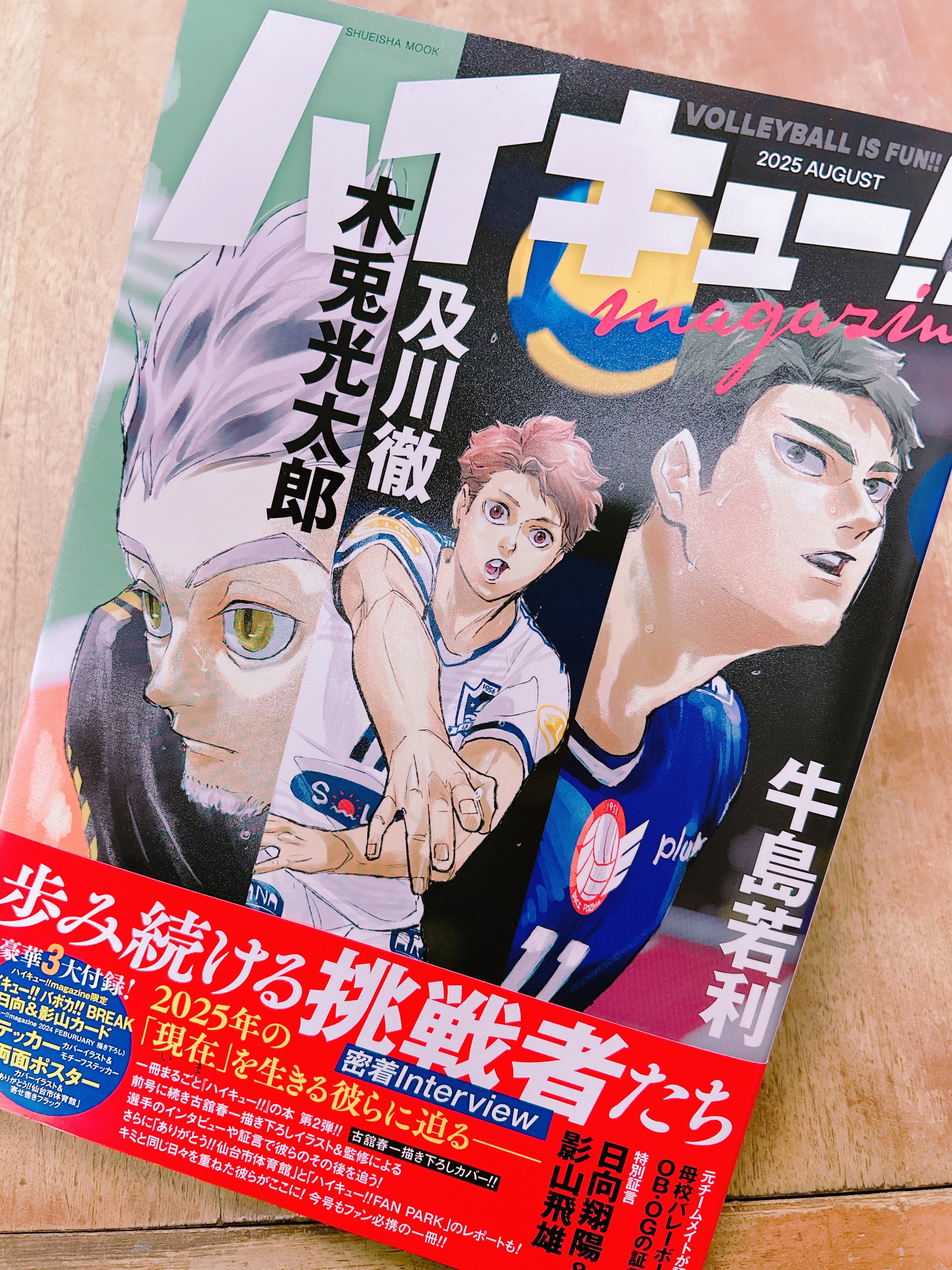 集英社 - ハイキュー!!全巻+ポスター ハイキュー!! magazine 2024 FEBRUARY／古舘春一 | 集英社