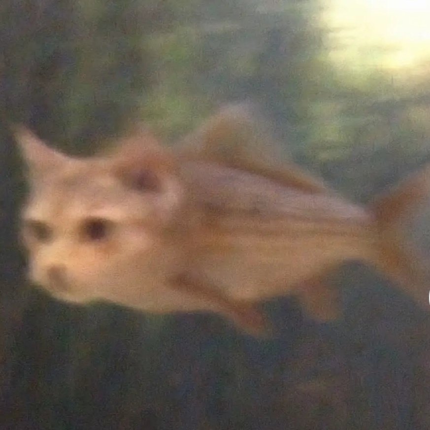 T1Washd's tweet image. Always conduct your own research prior to investing.
Ultimately, you alone are responsible for pressing the buy and sell buttons.
By entering a trade, you accept full responsibility for its outcome.
#ThinkSmart