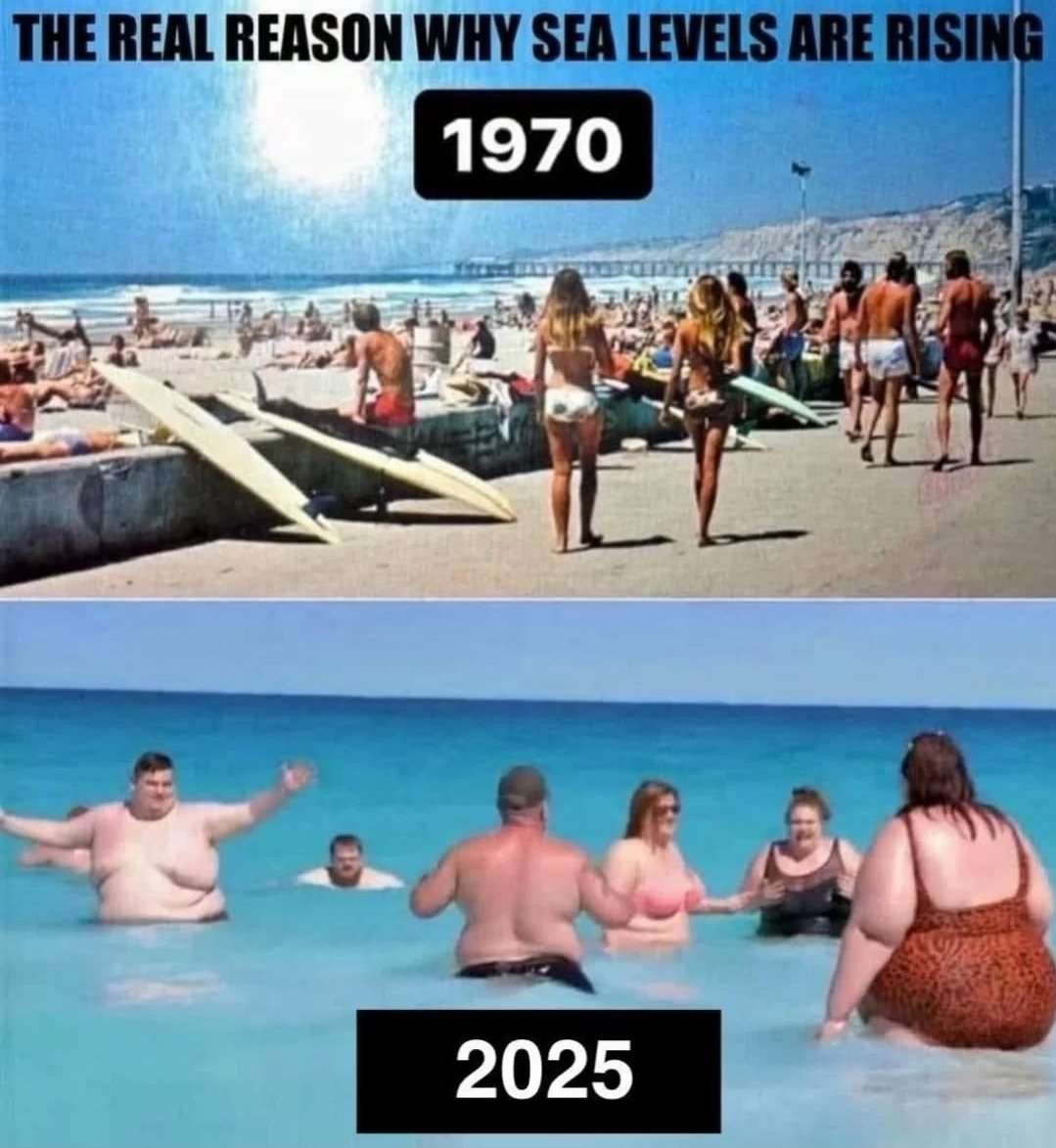 PlanetOfMemes's tweet image. Everyone out of the water