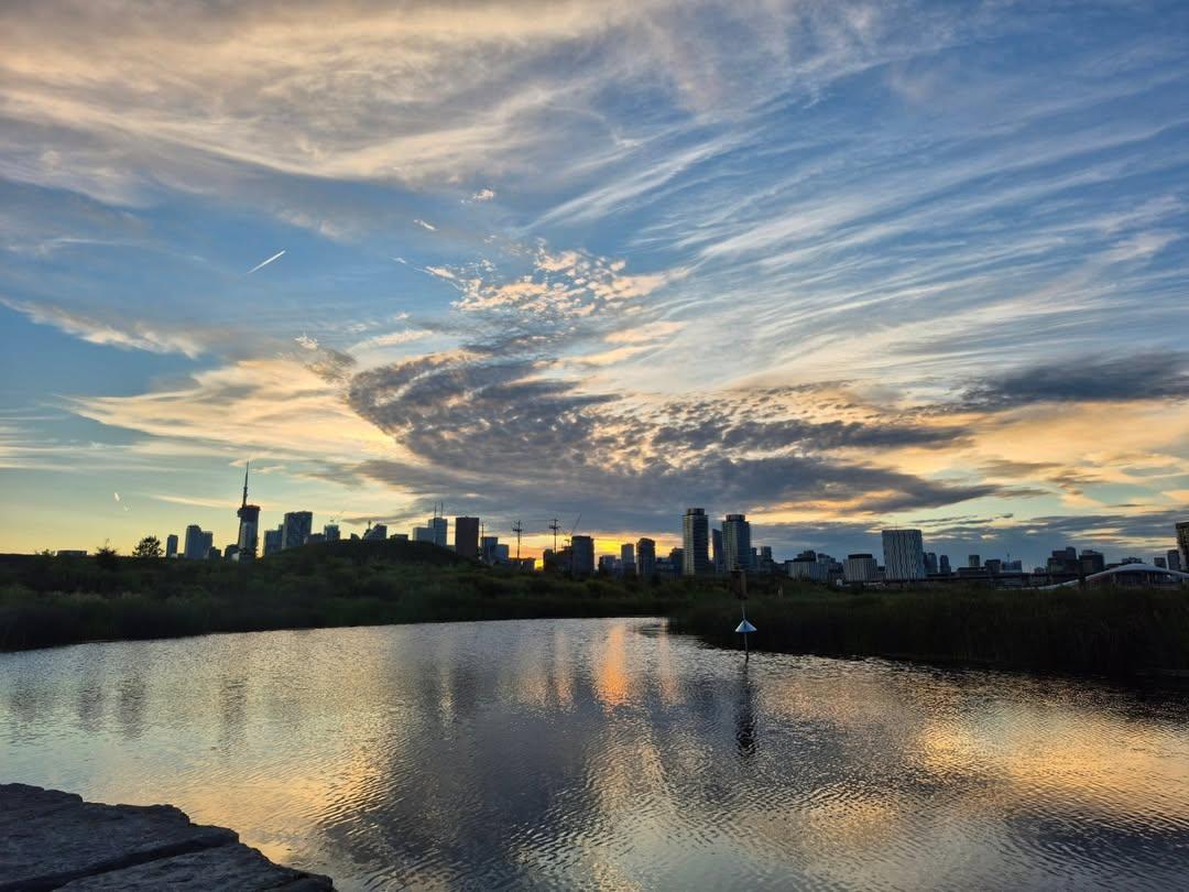 Teddy Wilson (@teddywilson) on Twitter photo #Monday, the city, downtown east side, from #Torontoβs newest & coolest park #BiidaasigePark, at the old Port Lands π³ π¦’ π #TorontoParks <a href="/TorontoPFR/">City of Toronto PFR</a> #Monday, the city, downtown east side, from #Torontoβs newest & coolest park #BiidaasigePark, at the old Port Lands π³ π¦’ π #TorontoParks <a href="/TorontoPFR/">City of Toronto PFR</a>