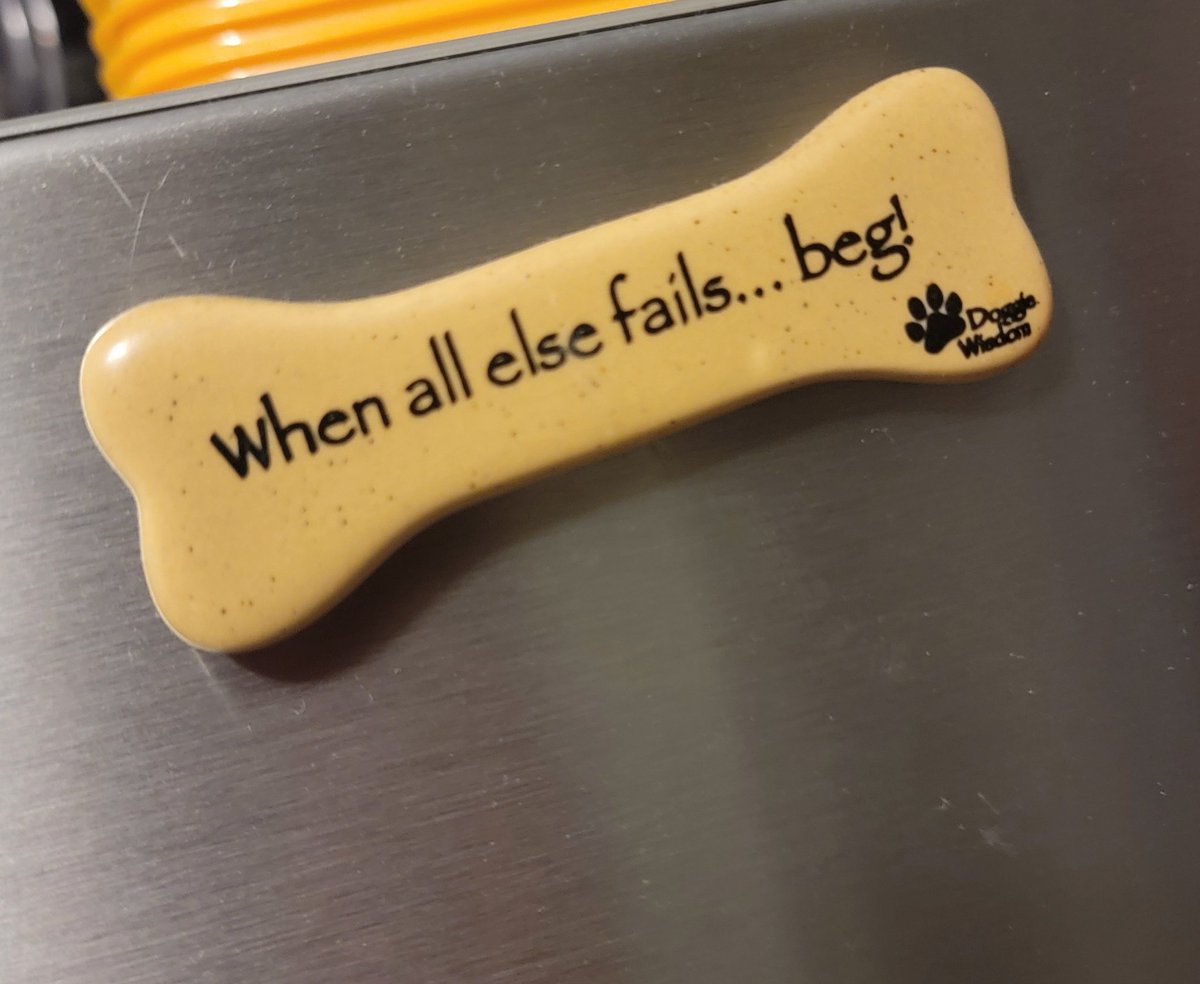 D0tD0tDot's tweet photo. wise words from magnet on my moms fridge https://t.co/qMfZt5wjMc