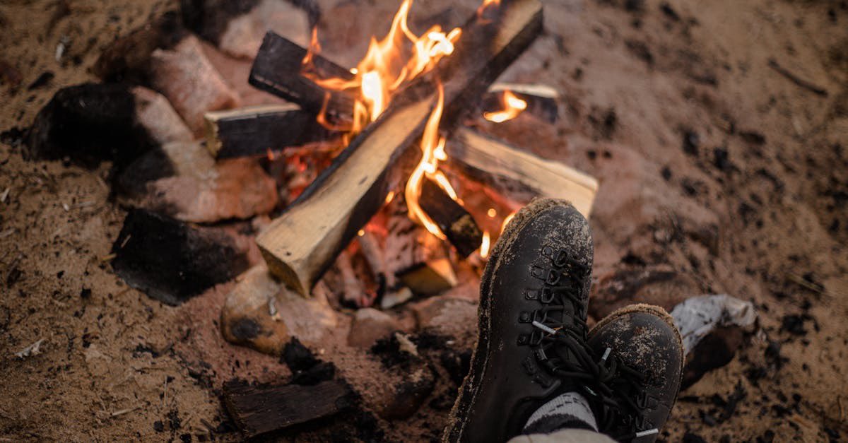 profitmizer's tweet image. Adventures with my grandkids = PURE JOY! 🌟 Whether we're off exploring or swapping stories by the campfire, these moments are EVERYTHING! ❤️ What's your fave family adventure? Share with me! ✈️🏞️ #FamilyAdventures #CreateMemories