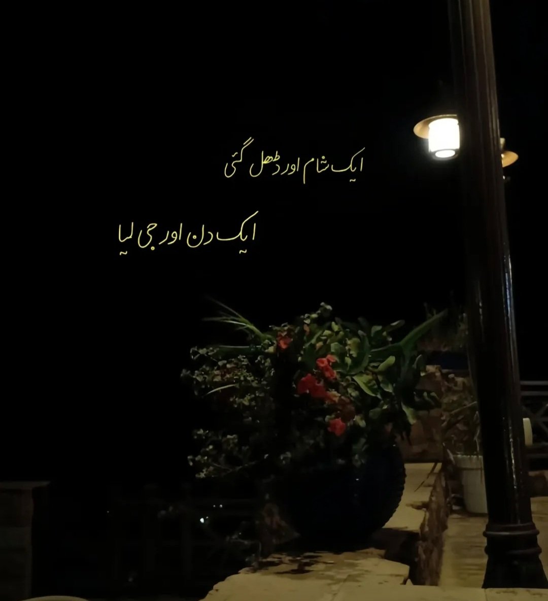 it's me M hashir (@m_hashirr) on Twitter photo 