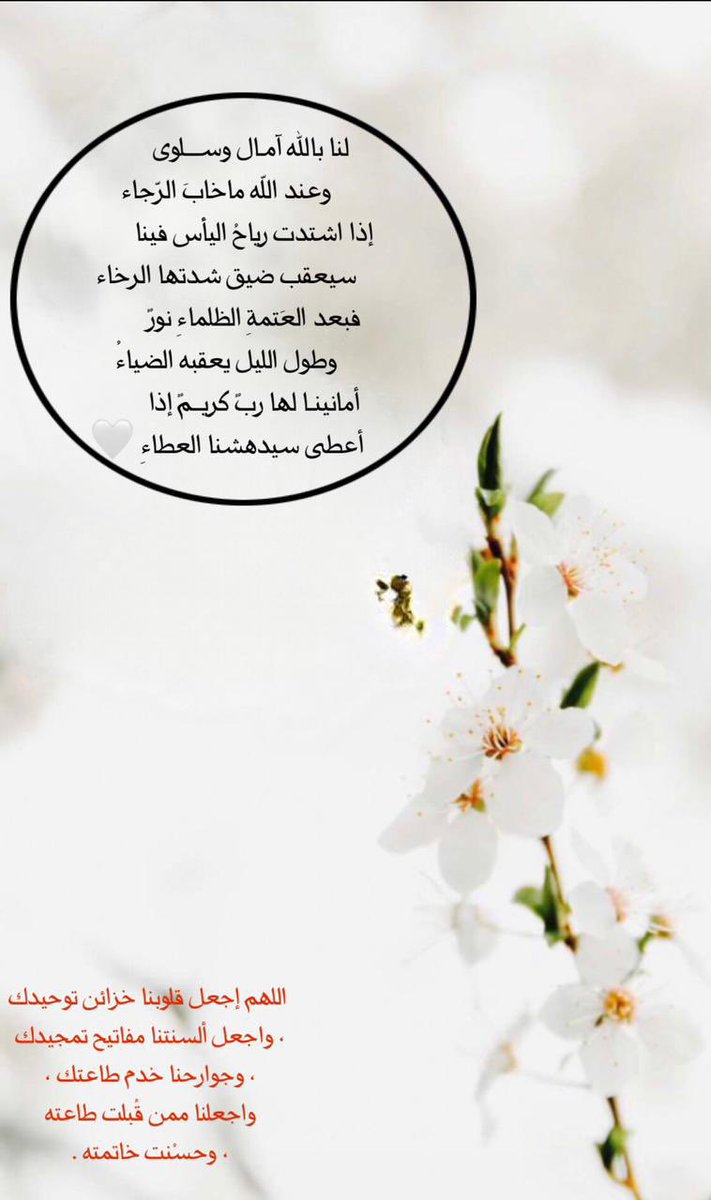 سعود العمران (@saudalomran1427) on Twitter photo 