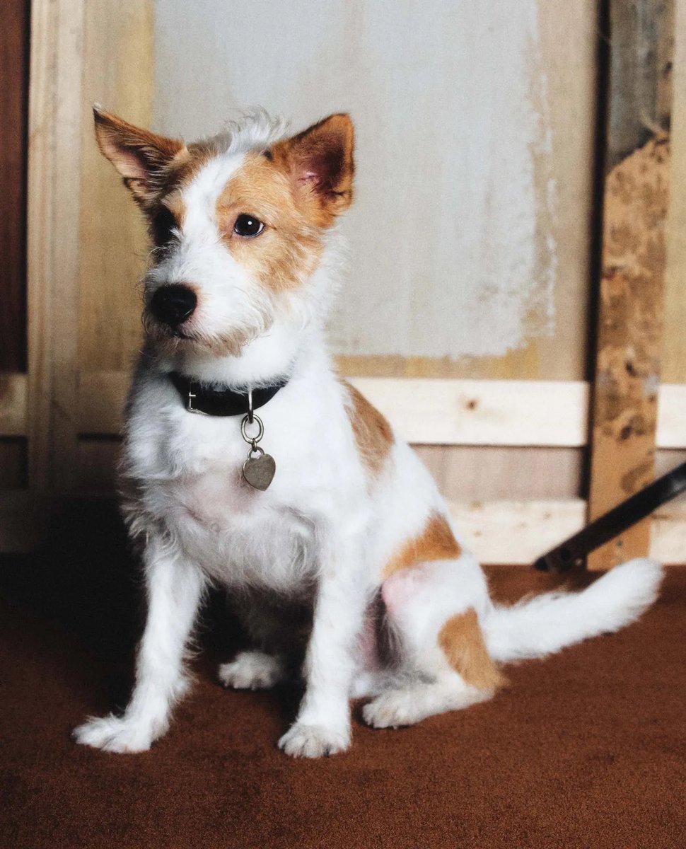 Why he got so much aura