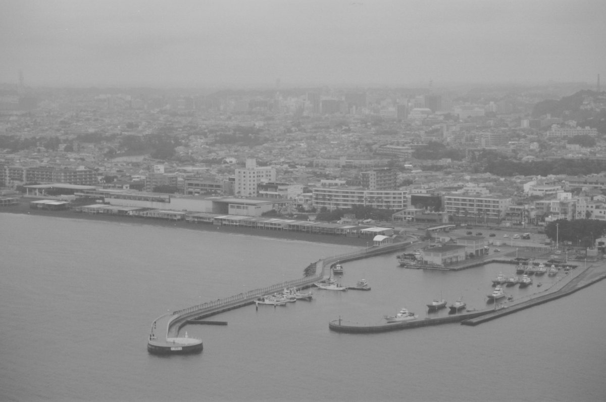 NovaDNG's tweet photo. 六月の江ノ島
#Acros100II #fujifilm https://t.co/edoRuCRTA7