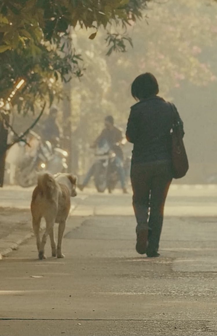 dogitization's tweet image. एक-एक कर के ट्विटर पर जोड़े सभी को  #Dogitization मिशन से, क्योंकि आप ही हमारी असली ताक़त हैं।  
याद रखिये, हम कोई संस्था या NGO नहीं, बल्कि देश के करोड़ों पशु सेवकों का साझा संकल्प है।  
यह सफर अभी शुरू हुआ है, और आगे बहुत कुछ बड़ा होने वाला है।  
जय हिन्द
Working with #Honesty