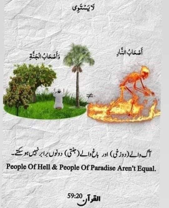 الســـــــــــــــــــــلام علیــــــــــــــکم ❤️ 
💫🌿🍀صبح بخیر 🫶🌿
🤎#نـــــــــــمــــــــرہ🌛🤎
🌙ـــــــــــــــــــــــــــــــــــــ🌚