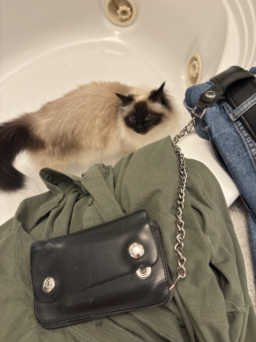 #PostaFavPic4VioletAug25 Day 18
Ice cream
I found the Butler’s wallet (he leaves his clothes on the tub🙄) - he keeps it chained to his belt🙄 Maybe I can get some $ for an ice cream💋💋💋
♥️💋Cali💋♥️