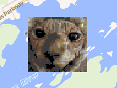 Shworld_Shplace's tweet photo. #sliceofshadow
Risenlight peaks over a mysterious border. 
(Bonus Otis on Otis Island)
Around 74,000 pixels were placed for these works.

This is our second to last project as a group. The final one will take awhile to complete.

Credits in replies. https://t.co/863X7gKlUr