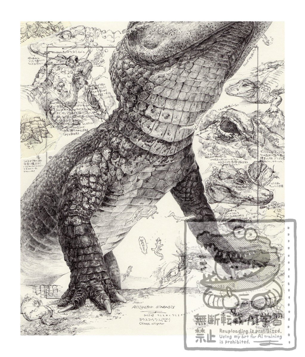 今日から始まるカランダッシュ銀座ブティック10周年記念展に、私も一点作品を出品させていただきました。
カランダッシュの描画材で制作をしている作家たちによるグループ展です。
皆様お近くにお越しの際は是非お立ち寄りください🐊