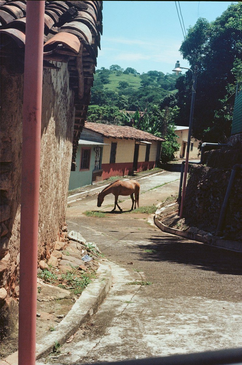 At long last my film is back from Central America. 8 rolls from a year spent deep in the jungle.

My time here was raw and transformative. Humid. Challenging. Beauty to be found everywhere.

This part of the world is totally misunderstood and I think will always be.