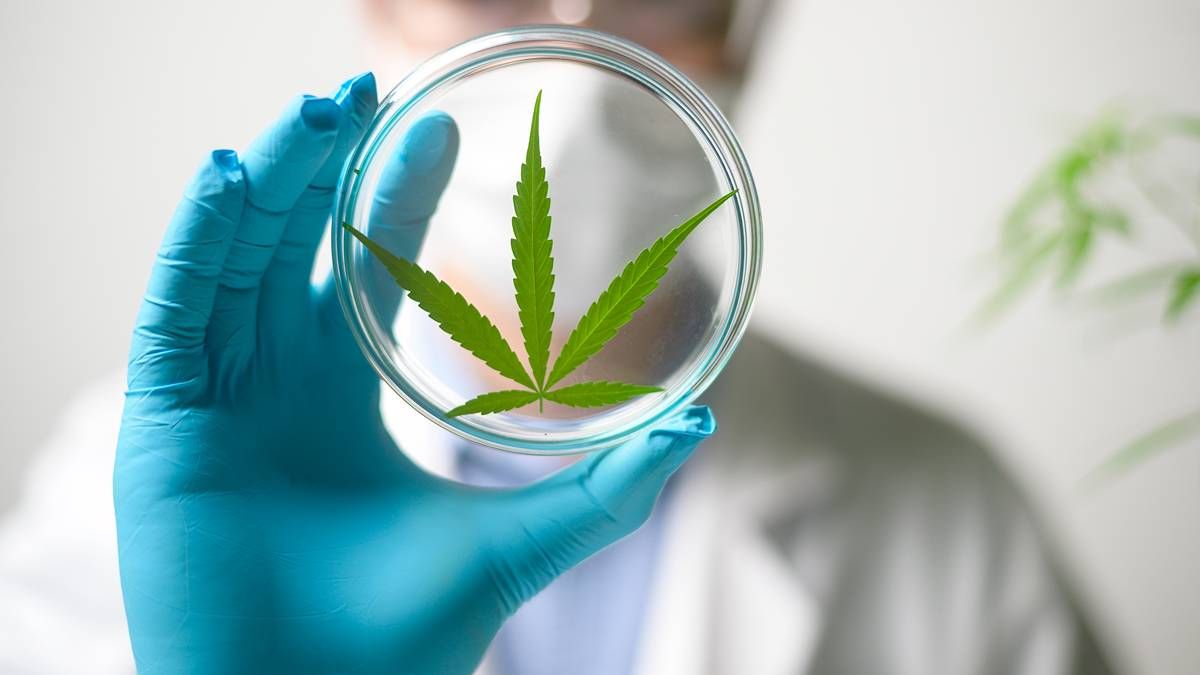 .<a href="/ArgentBioPharma/">Argent BioPharma</a> has signed a binding term sheet to acquire the key assets and intellectual property of formerly ASX-listed AusCann Group in a deal worth around US$15 million. #ASX $RGT buff.ly/4hCY73H