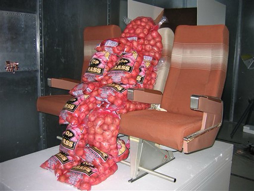 Could potatoes be human after all?!?  😳

Boeing used potatoes to test in-flight Wi-Fi because they mimic the way the human body interacts with radio waves, making them a good substitute for human passengers during signal testing.

#OregonPotatoes 
#PotatoScience