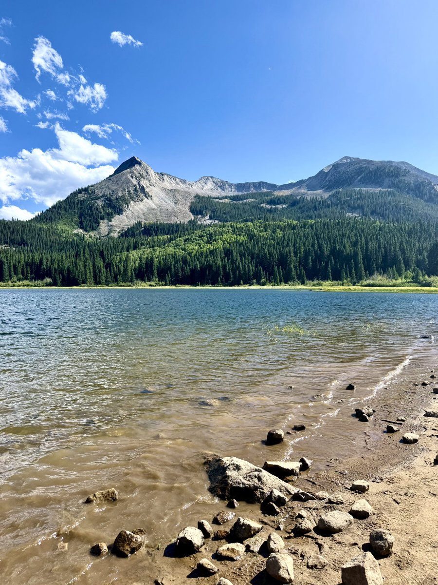 Travel Crested Butte tweet media