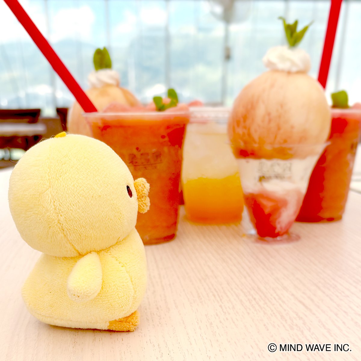 ぴよぬい🐥 (@piyonui_mw) on Twitter photo まんまる…
#ぴよこ豆 #ぴよぬい まんまる…
#ぴよこ豆 #ぴよぬい