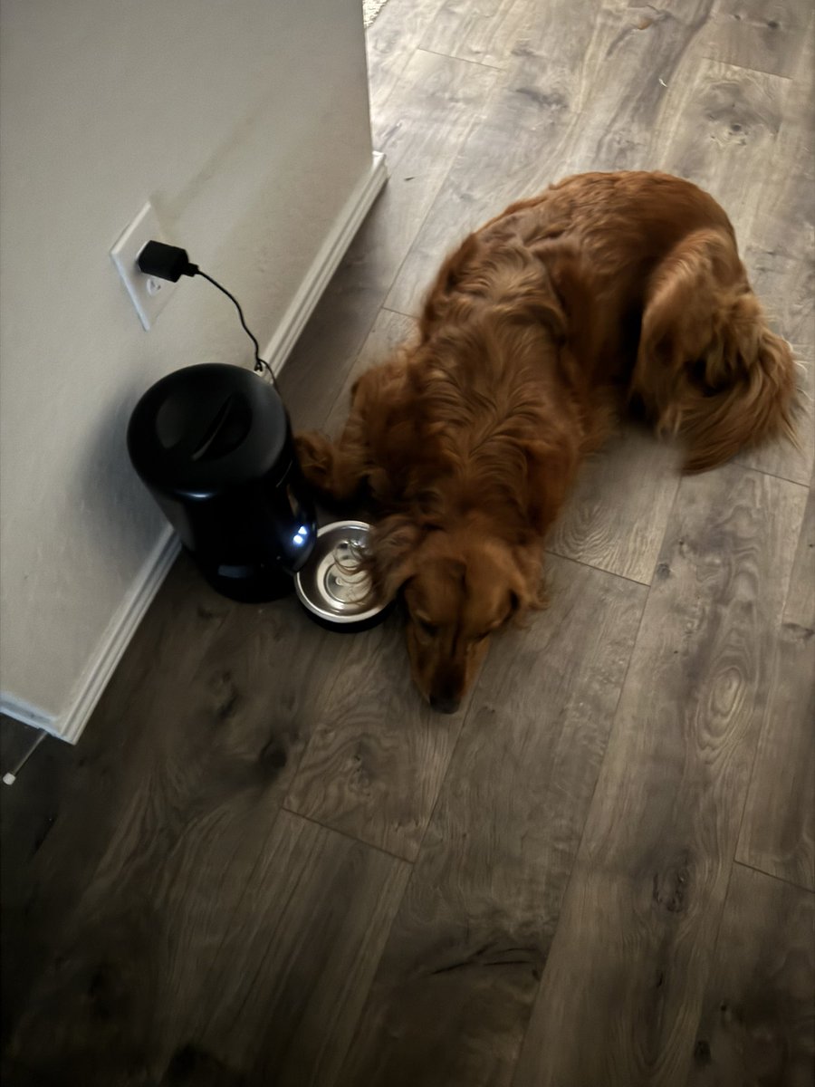 His favorite spot.   Just gonna wait there for the next 8 hours…..