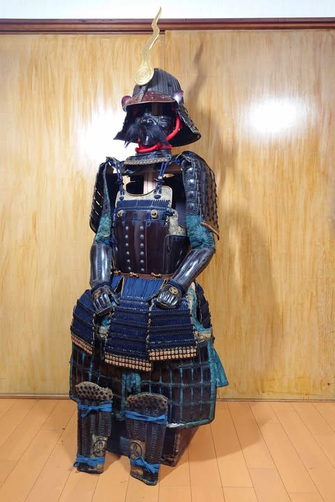 【甲冑】曰く付き？座敷童子？不思議な置物_(┐「ε:)_ 鎧