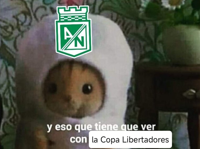 Manuela (@triceratopss_) on Twitter photo 