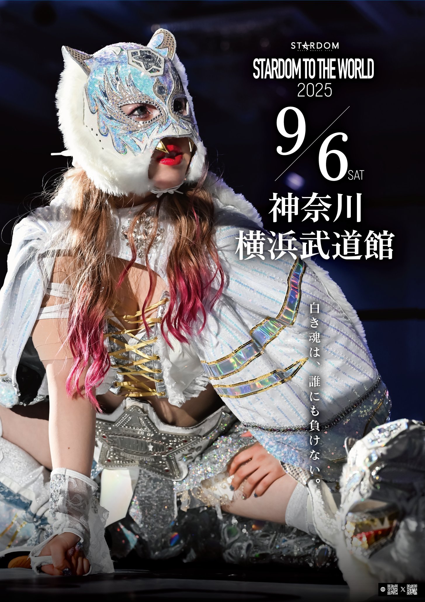 スターダム STARDOM VIP席特典 直筆サイン入りポスター 日本武道館 Amazon.co.jp: スターダム STARDOM VIP席特典 後楽園ホール 直筆