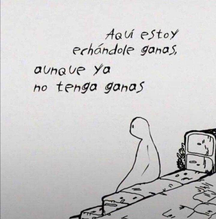 FraseSimple's tweet photo. https://t.co/wfEZv07owR