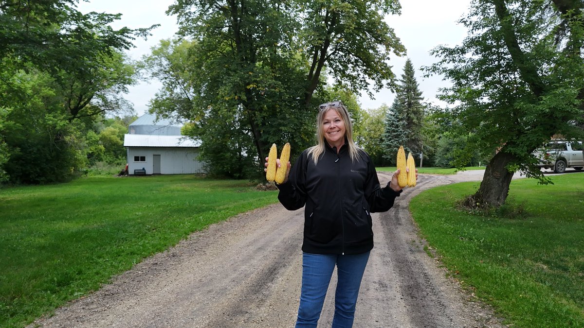 Wendy Major (@wendymajor10) on Twitter photo At Jakaloma Farm <a href="/1redek/">Karl Redekop</a> tonight checking the corn trial …. Picked a few cobs to compare…. Ask your local dealer or give us a call for more info on these bin busting varieties!! <a href="/renatejochum/">Renate</a> <a href="/cndaggie/">David Chappellaz</a> <a href="/Nicole_L_O/">Nicole</a> <a href="/Jebber11/">Jesse Bernard</a> <a href="/thunder_seed/">Thunder Seed</a> At Jakaloma Farm <a href="/1redek/">Karl Redekop</a> tonight checking the corn trial …. Picked a few cobs to compare…. Ask your local dealer or give us a call for more info on these bin busting varieties!! <a href="/renatejochum/">Renate</a> <a href="/cndaggie/">David Chappellaz</a> <a href="/Nicole_L_O/">Nicole</a> <a href="/Jebber11/">Jesse Bernard</a> <a href="/thunder_seed/">Thunder Seed</a>