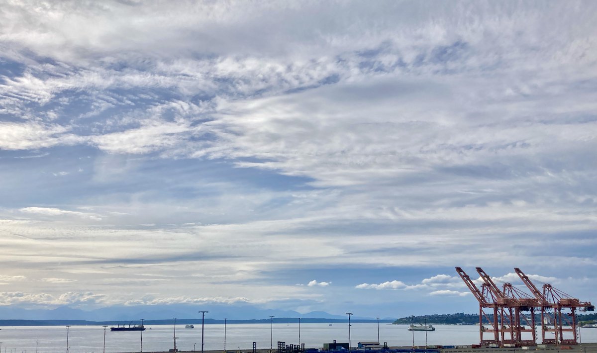 Parella Lewis tweet media