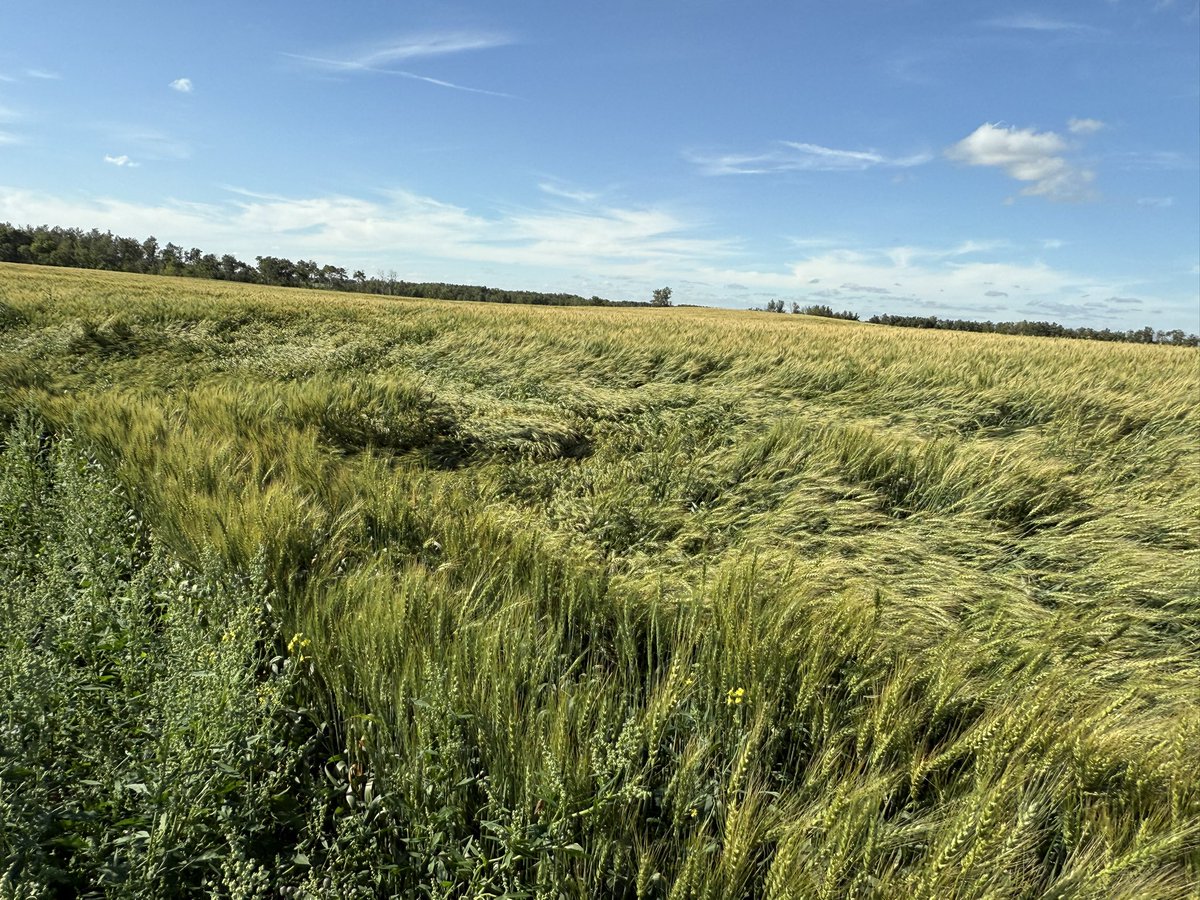 So proud of my prime minister today at his meeting in Washington, with the whole crew plus Zalinski. He made the elbows-up group happy. 

Oh wait a fucking minute the idiot didn't get invited even if we keep sending way more money than most countries.

Canada doesn't even get a