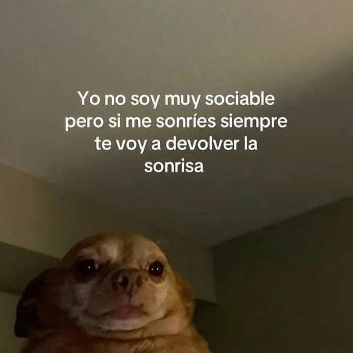 M O T I V A N D O T E (@m0tivand0te) on Twitter photo 