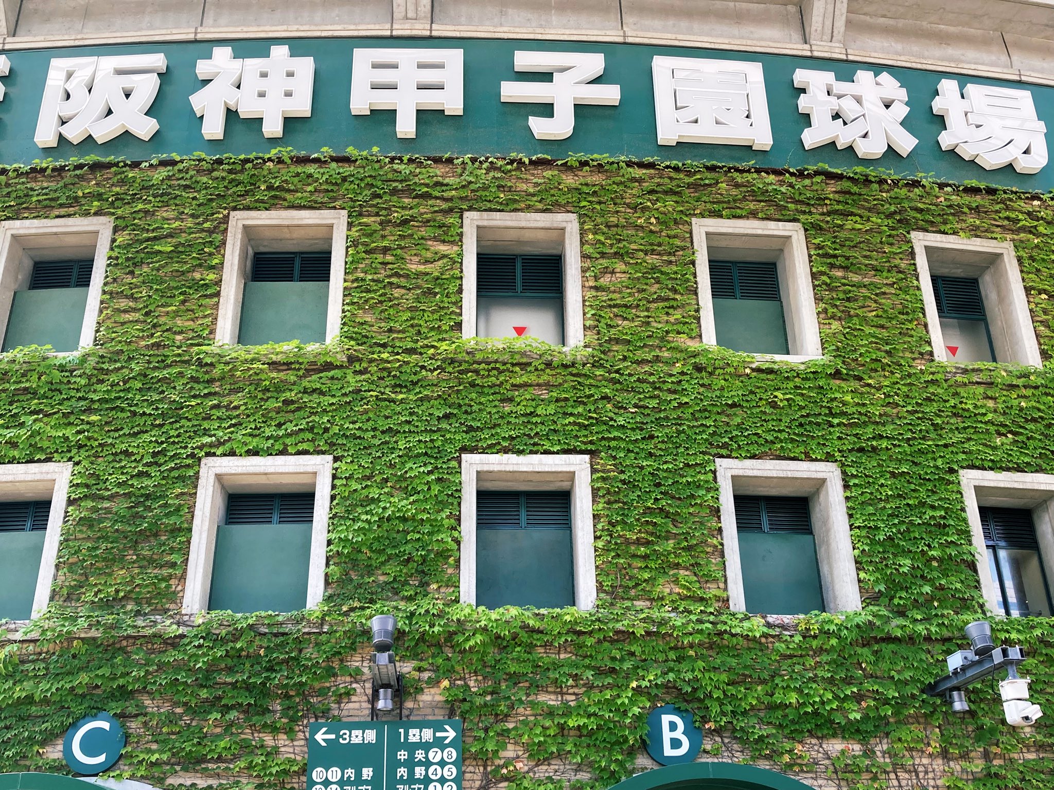 甲子園 JHANKSON(ジャンクソン) x 甲子園球場 コラボ / スウェット