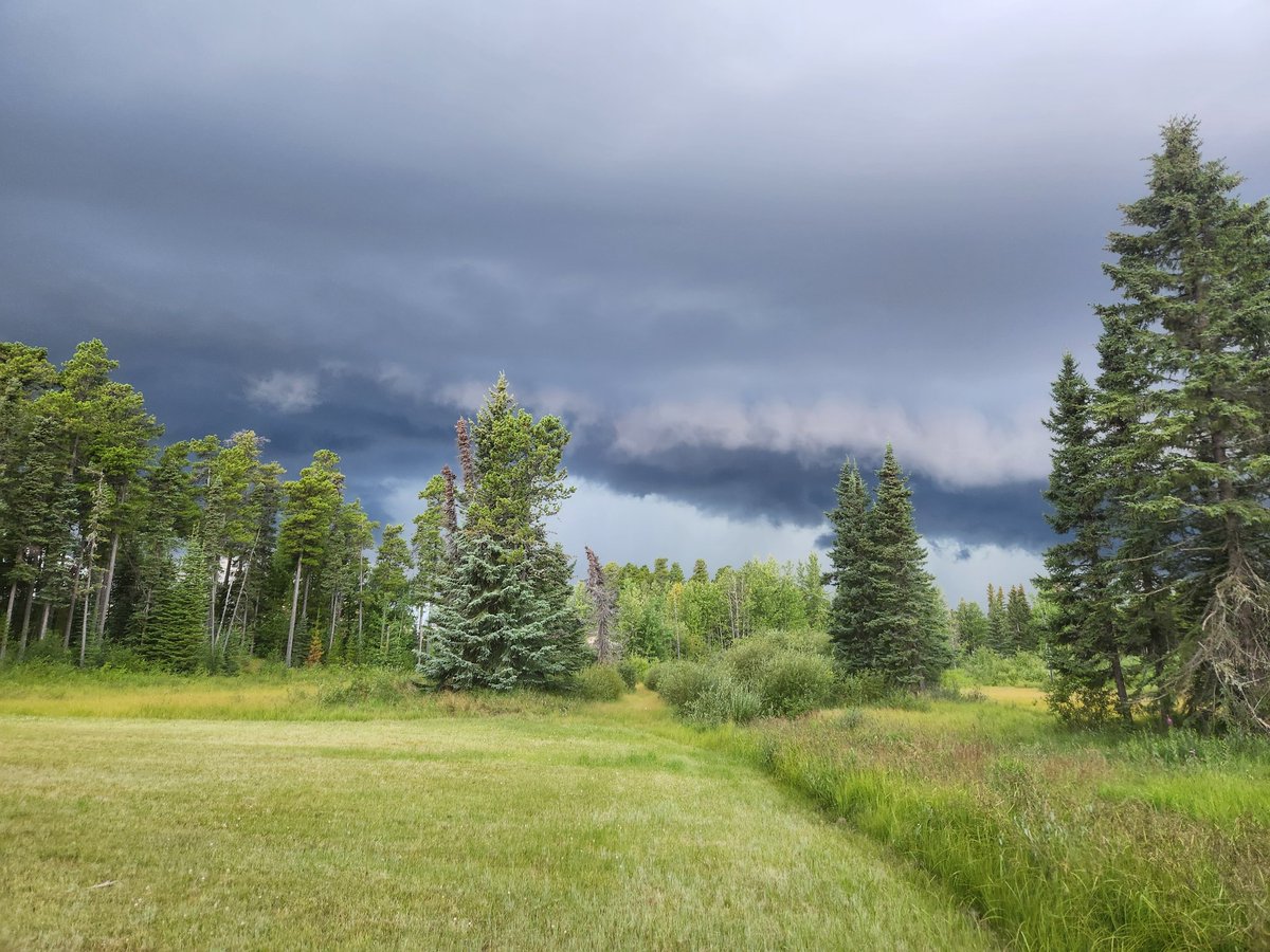 Hail to start this downpour.