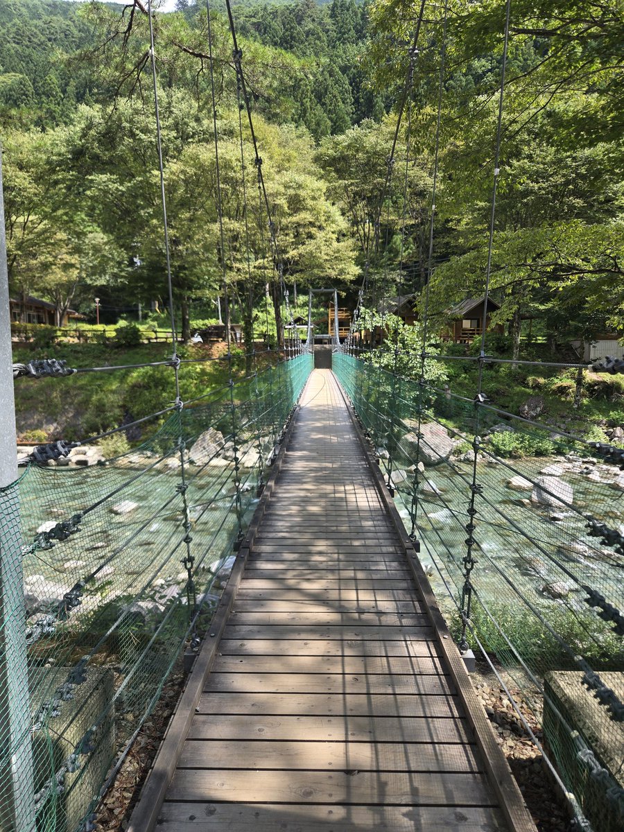 avabei's tweet image. 山2日目🦈