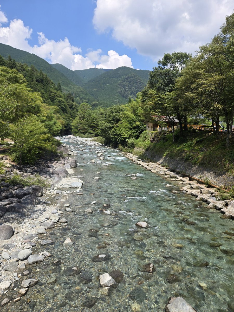 avabei's tweet image. 山2日目🦈